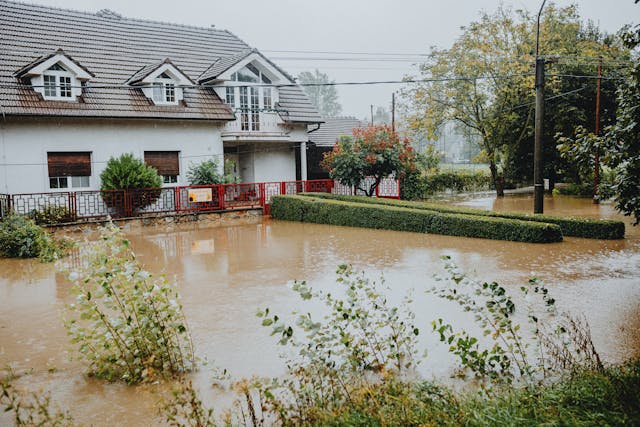 Assurance habitation